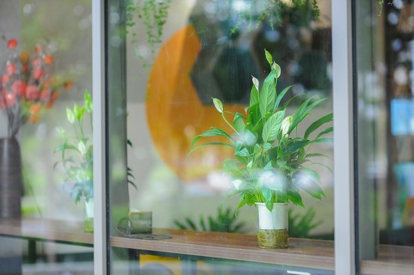 Urbanisme durable et gestion des déchets