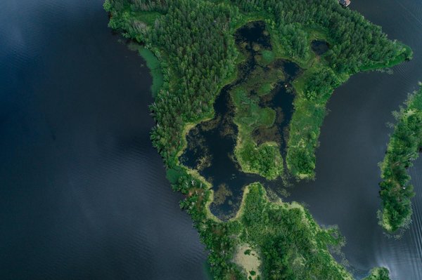 Comparatif banque en ligne gratuite : trouvez la meilleure option