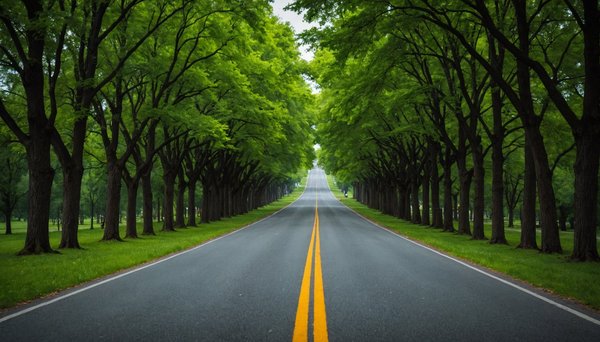 Le cntp : un parcours sécurisé pour obtenir votre permis