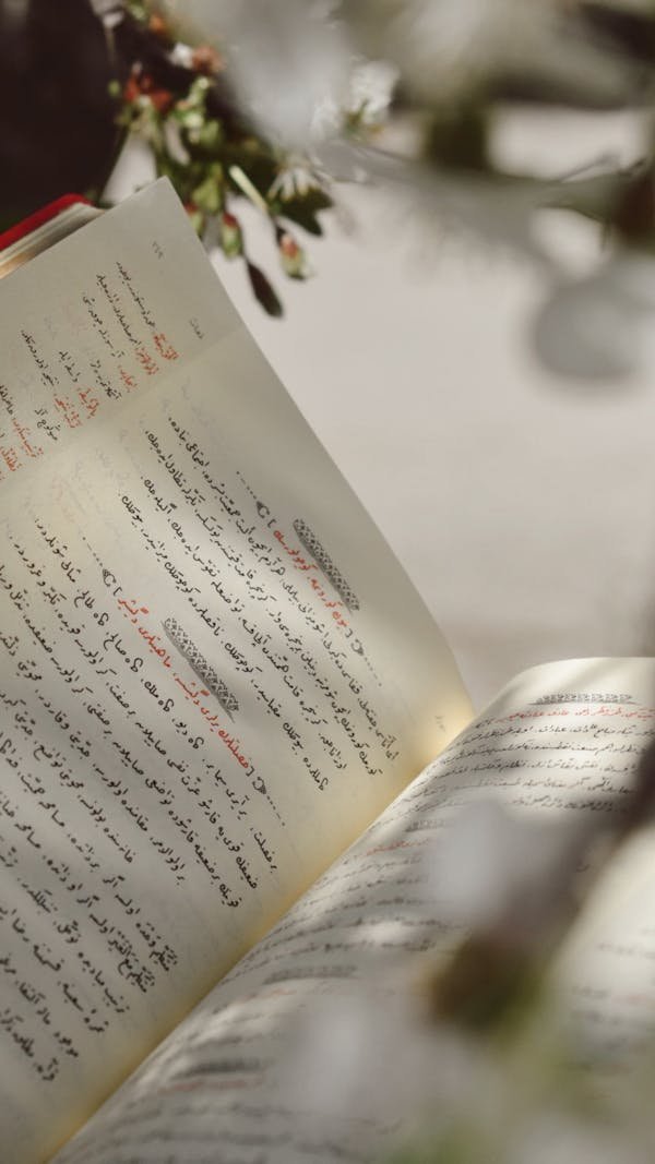 Apprendre l'arabe facilement : des cours adaptés à tous